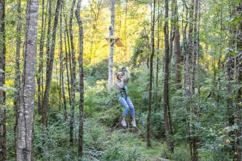 A person zip-lining through a lush green forest, surrounded by tall trees and sunlight filtering through the leaves.