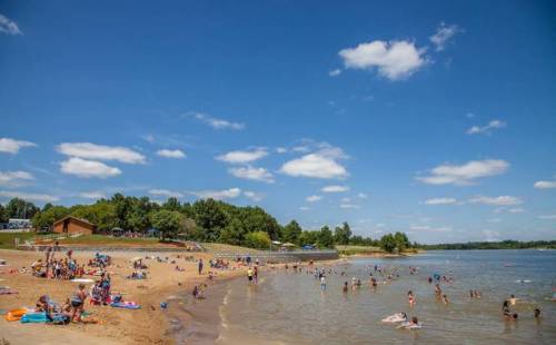 A sunny beach scene with people swimming and relaxing by the water, surrounded by trees and a clear blue sky.
