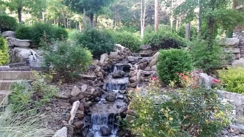 A serene garden scene featuring a small waterfall cascading over rocks, surrounded by lush greenery and colorful plants.