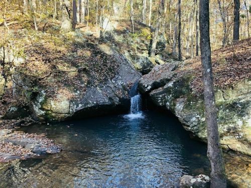 A serene forest scene featuring a small waterfall cascading into a clear pool surrounded by rocky terrain and autumn foliage.