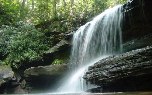 A serene waterfall cascading over rocky ledges, surrounded by lush green foliage in a tranquil forest setting.
