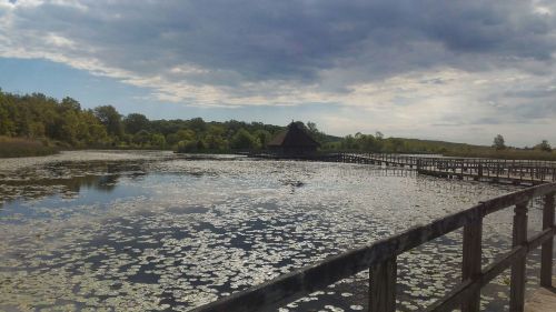 A serene lake with lily pads, surrounded by trees and a wooden walkway leading to a rustic building under a cloudy sky.