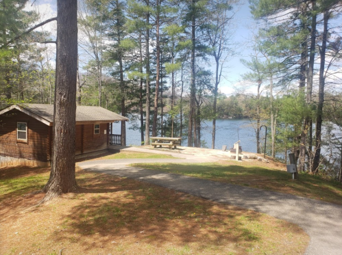 A wooden cabin by a serene lake, surrounded by tall pine trees and a picnic area with a table.