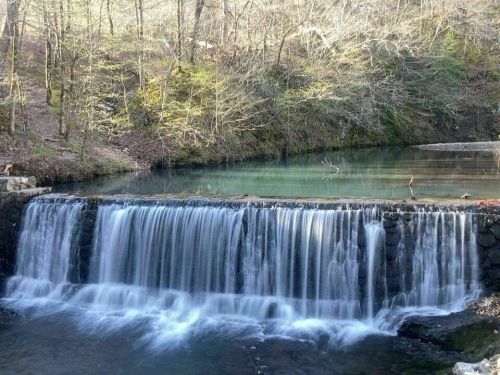 A serene waterfall cascading over rocks into a calm, clear pool surrounded by trees and greenery.