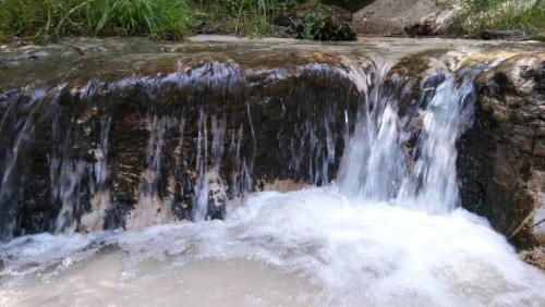 A small waterfall cascading over rocks into a clear stream, surrounded by lush greenery.