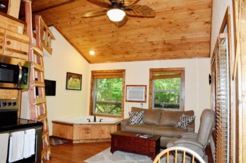 Cozy cabin interior with wooden accents, a sofa, a hot tub, and a ladder leading to a loft. Natural light from windows.