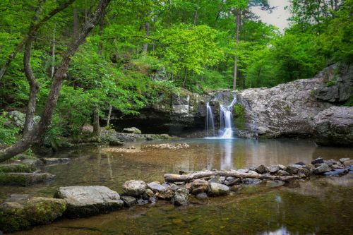 A serene forest scene featuring a waterfall cascading into a clear pool, surrounded by lush green trees and rocky terrain.