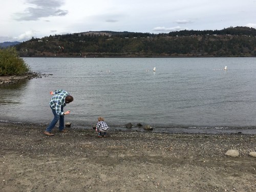 A man and a child play by the water's edge, with mountains and trees in the background under a cloudy sky.