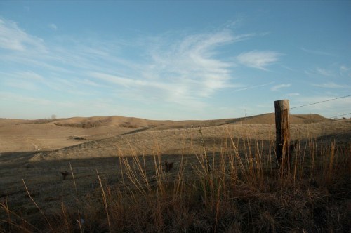 A serene landscape featuring rolling hills, sparse grass, and a wooden post with a barbed wire fence under a blue sky.