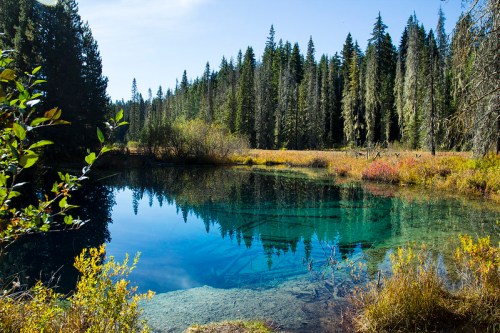 A serene lake surrounded by lush green trees and colorful autumn foliage under a clear blue sky.