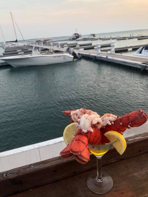 A lobster cocktail garnished with lemon slices, set against a marina with boats and a sunset in the background.