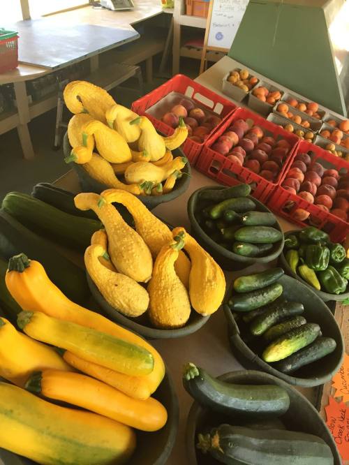 A variety of fresh vegetables, including yellow squash, zucchini, and green peppers, displayed in bowls and baskets.