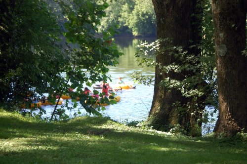 A serene river scene with kayakers paddling in the water, framed by lush green trees and grass.