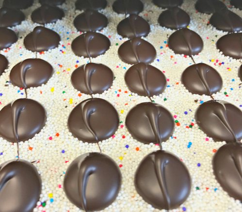 A close-up of chocolate-covered candies arranged in rows on a bed of colorful sprinkles.