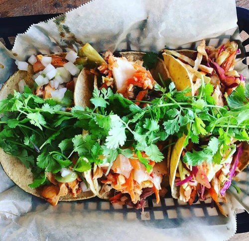 Three tacos filled with colorful toppings, garnished with fresh cilantro, served on a paper-lined basket.