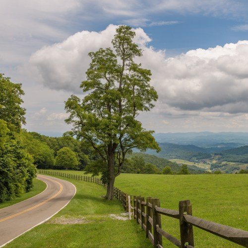 A winding road curves through a green landscape, with a lone tree and distant mountains under a cloudy sky.