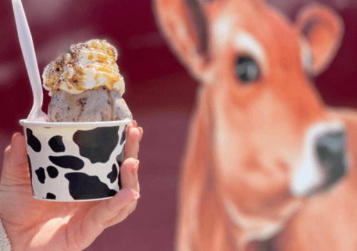 A hand holds a cup of ice cream topped with whipped cream, with a cow mural in the background.