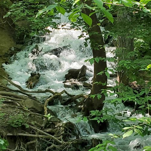 A cascading waterfall flows over rocks, surrounded by lush green foliage and trees.