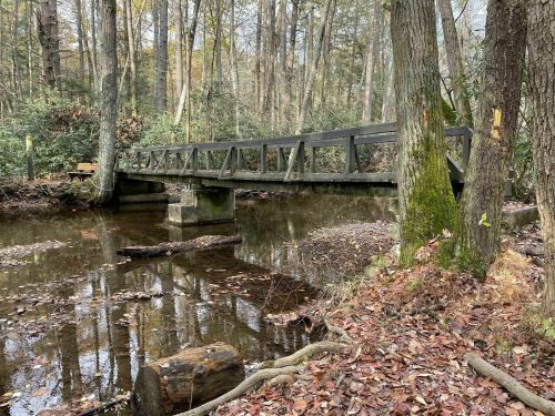 A wooden bridge spans a calm stream in a forest, surrounded by trees and fallen leaves.