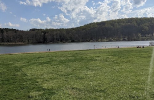 A serene lake surrounded by green grass and trees, with people enjoying the outdoors under a partly cloudy sky.