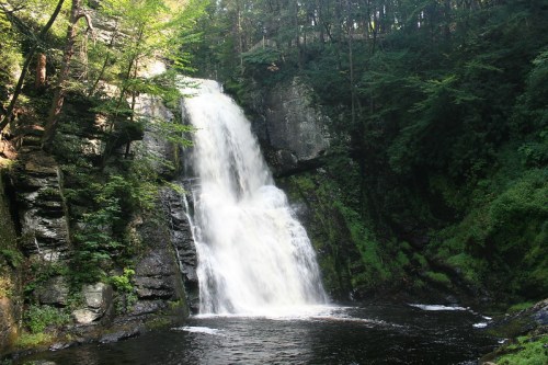 A cascading waterfall flows into a serene pool, surrounded by lush greenery and rocky cliffs.
