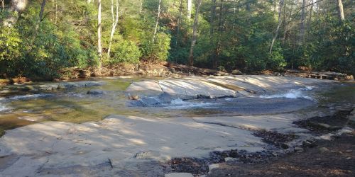 A serene river flows over smooth rocks, surrounded by lush green trees in a peaceful forest setting.