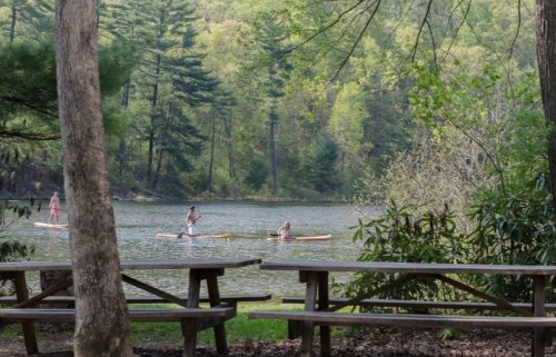 Three people paddleboarding on a calm lake surrounded by trees, with picnic tables in the foreground.