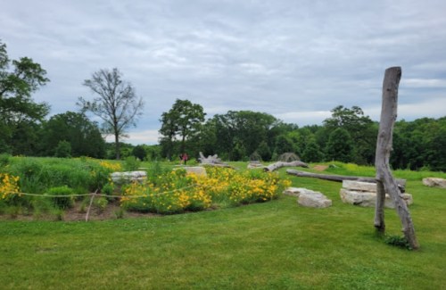 A scenic landscape featuring yellow flowers, green grass, and wooden structures under a cloudy sky.