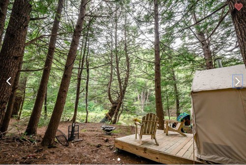 A cozy tent on a wooden deck surrounded by tall trees in a serene forest setting.