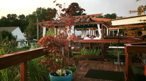 A wooden deck with a small red tree in a pot, overlooking a dining area with people and greenery in the background.