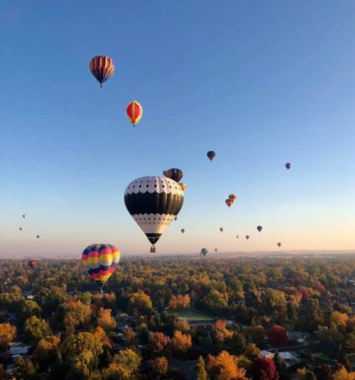 A colorful array of hot air balloons floats over a vibrant autumn landscape under a clear blue sky.