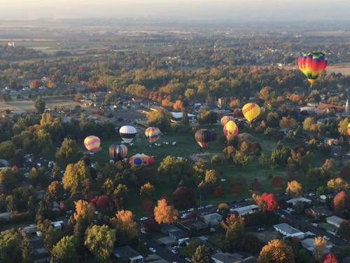 Aerial view of colorful hot air balloons over a scenic landscape with autumn foliage and a small town below.