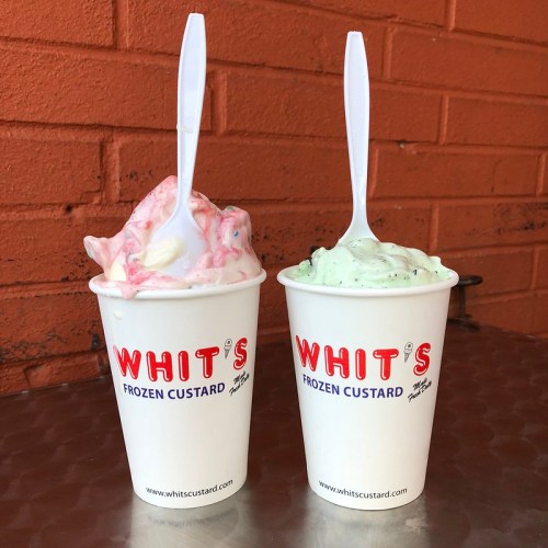 Two cups of frozen custard from Whit's, one pink with sprinkles and one green with chocolate chips, on a metal table.