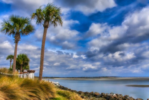 A serene waterfront scene with palm trees, grassy shore, and a cloudy blue sky reflecting on calm water.