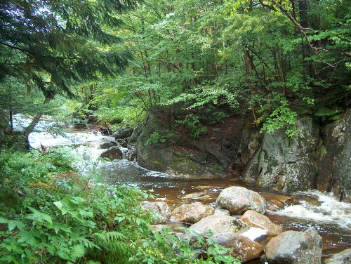 A serene river flows through a lush green forest, with rocks and trees lining the banks.