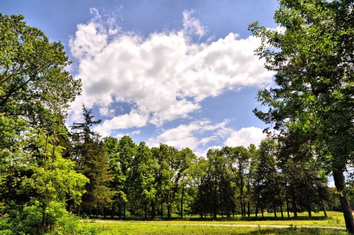 A vibrant landscape featuring lush green trees under a bright blue sky with fluffy white clouds.