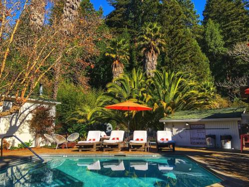 A serene pool area surrounded by lush greenery and palm trees, featuring lounge chairs and a bright orange umbrella.