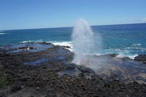 A water spout erupts from rocky coastal formations, with a clear blue ocean and sky in the background.