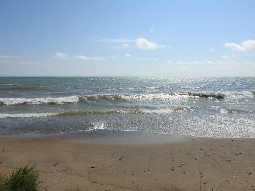A serene beach scene with gentle waves lapping at the shore under a clear blue sky.