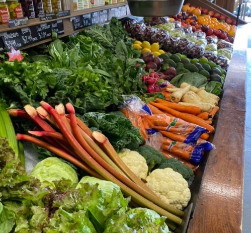 A vibrant display of fresh vegetables and fruits, including greens, carrots, rhubarb, and various colorful produce.