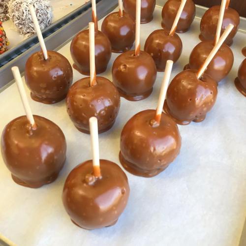 A tray of caramel-coated apples on sticks, arranged neatly on parchment paper.