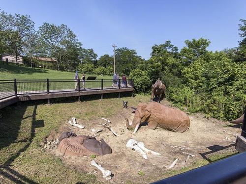 Visitors observe a life-sized elephant sculpture and bones in a natural setting, surrounded by greenery and a clear sky.
