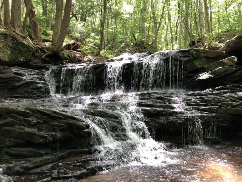 A serene waterfall cascading over rocky steps, surrounded by lush green trees in a tranquil forest setting.