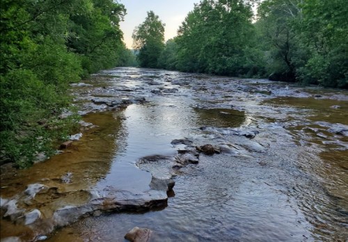 A serene river flows through a lush green landscape, with rocky patches visible in the water under a clear sky.