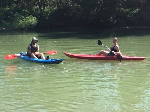 Two people kayaking on a calm river, one in a blue kayak and the other in a red kayak, surrounded by greenery.