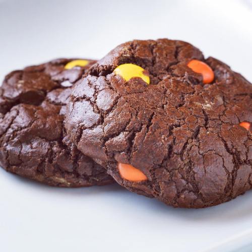 Two chocolate cookies with colorful candy pieces on a white plate.