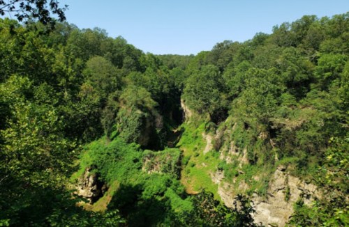 Lush green forest surrounds a deep canyon under a clear blue sky, showcasing nature's beauty and tranquility.