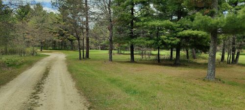 A dirt path winds through a forested area with green grass and tall trees under a partly cloudy sky.