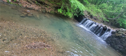 A serene stream with a small waterfall, surrounded by lush greenery and rocky banks.