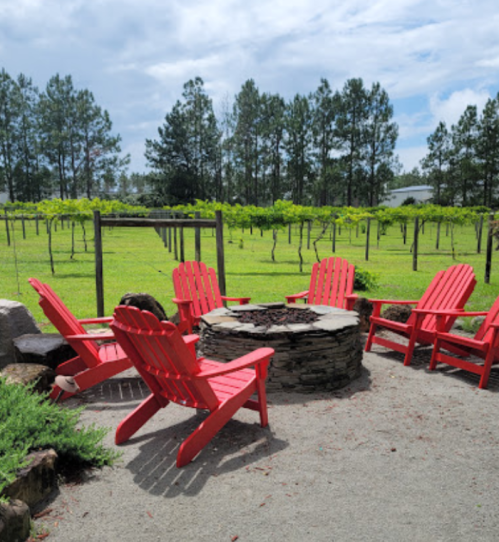 A cozy fire pit surrounded by red Adirondack chairs, set in a vineyard with green vines and trees in the background.